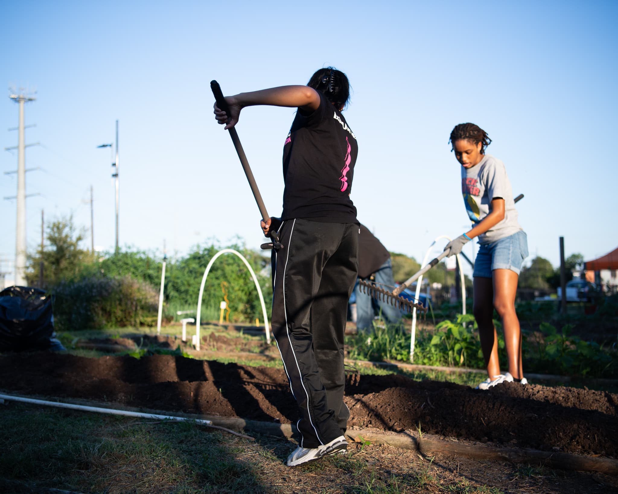 Volunteers tilling garden beds at golden hour